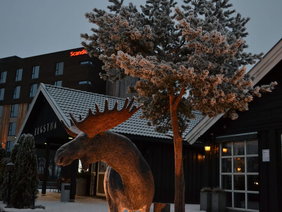 Vista desde la propiedad