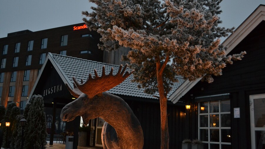 Thon Partner Elgstua