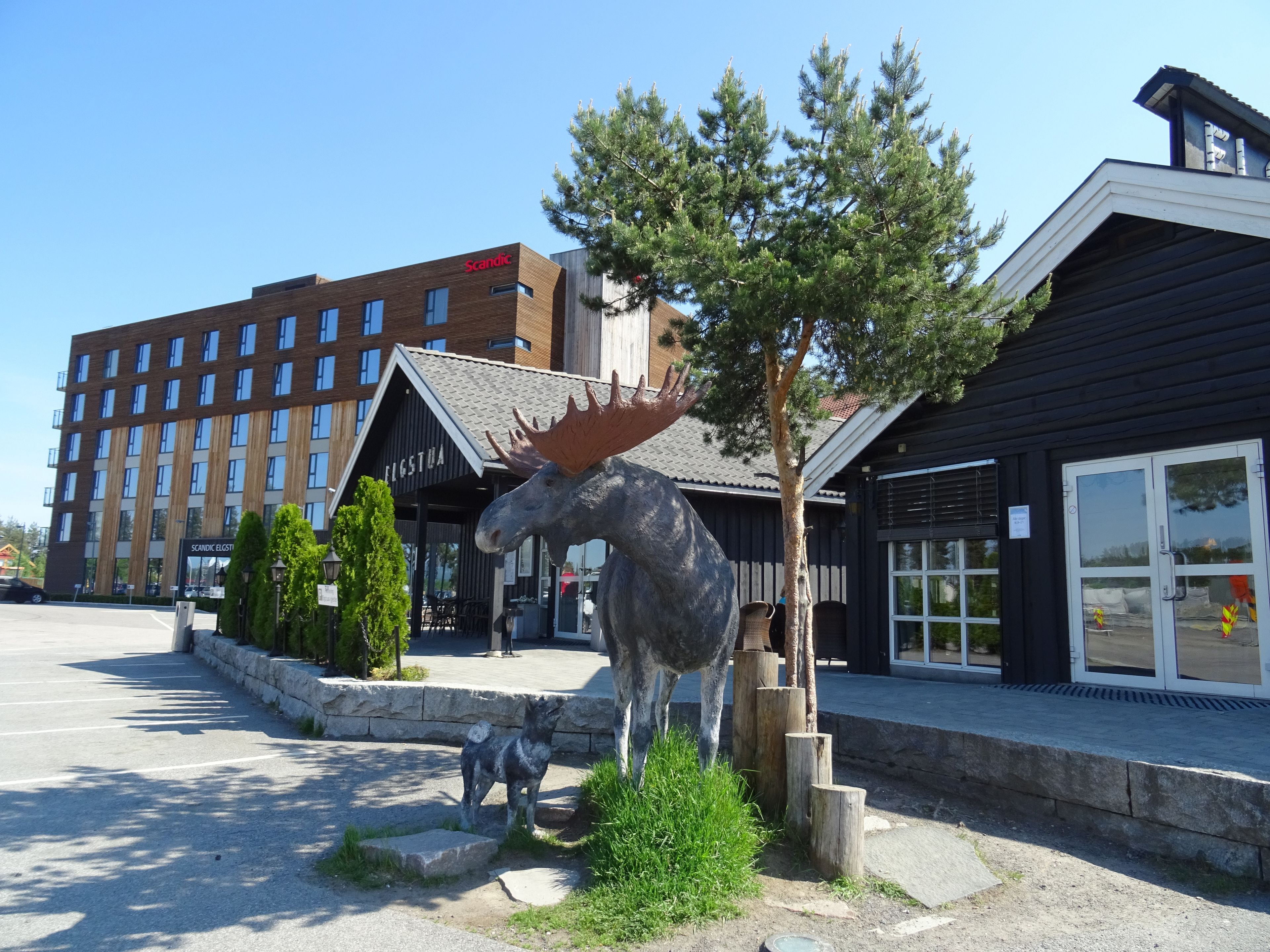 Un bâtiment sur lequel on peut lire l’inscription « Scandic », avec une statue d’élan devant l’entrée.