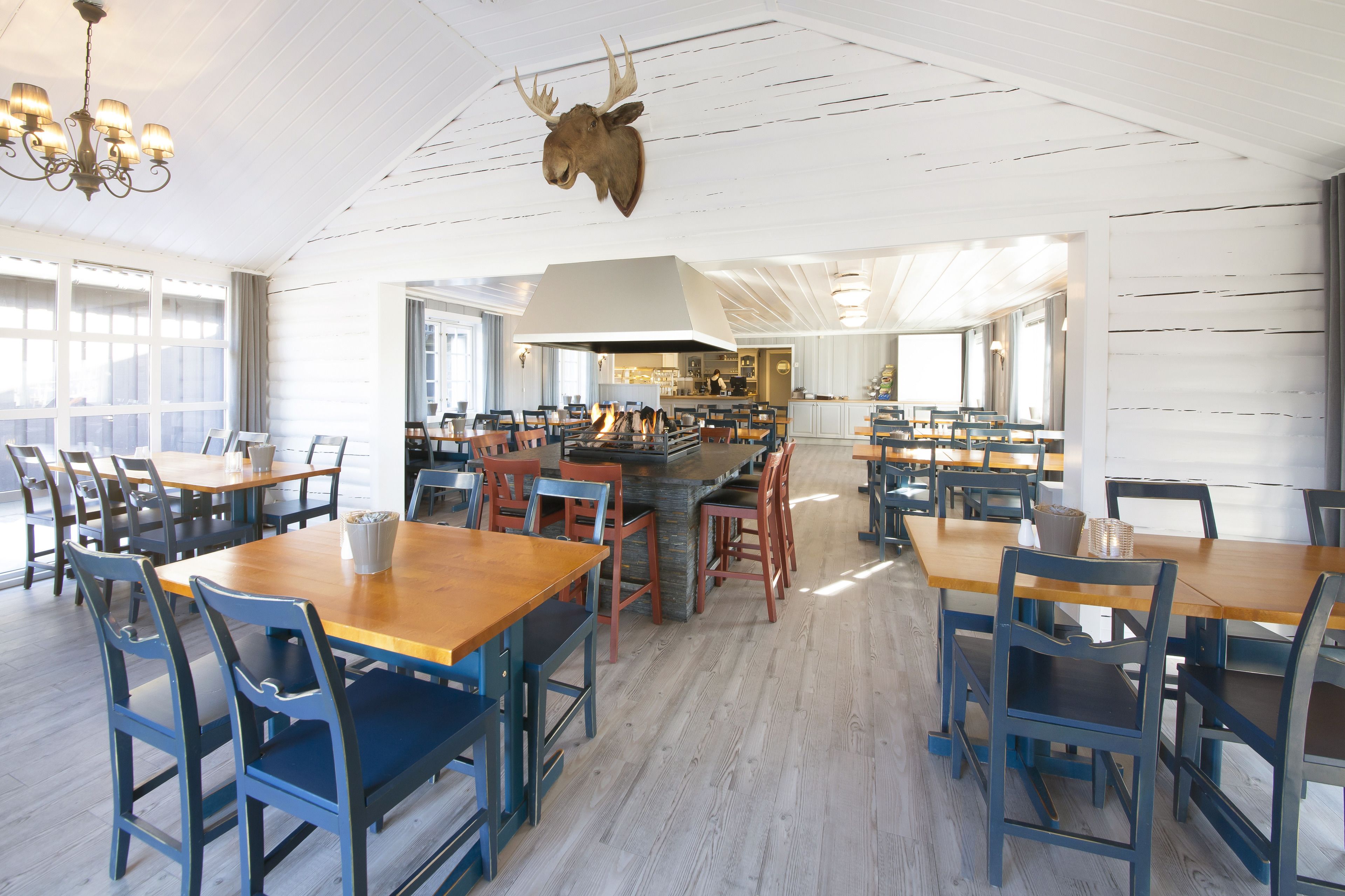 A spacious dining area with wooden tables and blue chairs, a central bar area, and a mounted animal head on the ceiling.