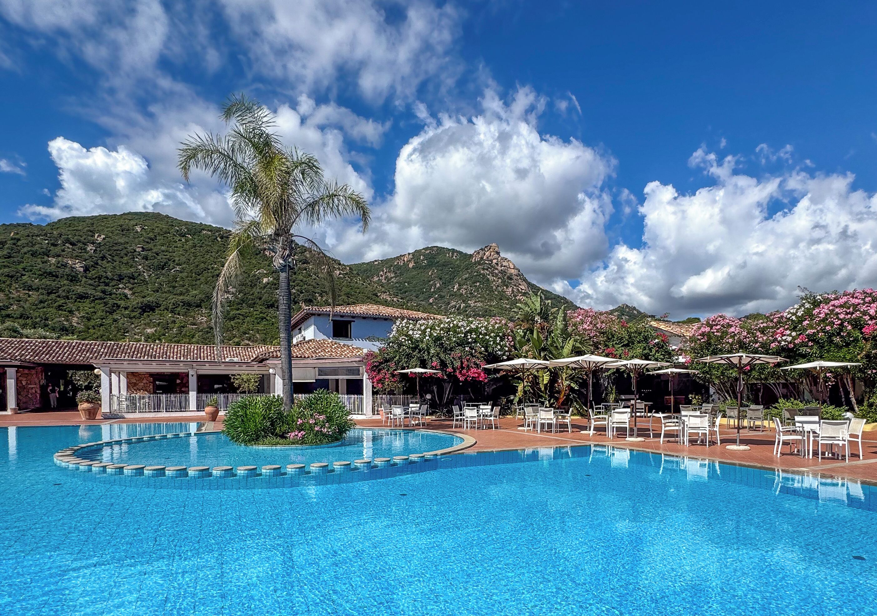 A swimming pool with a surrounding patio area, a palm tree, and a mountain in the background.