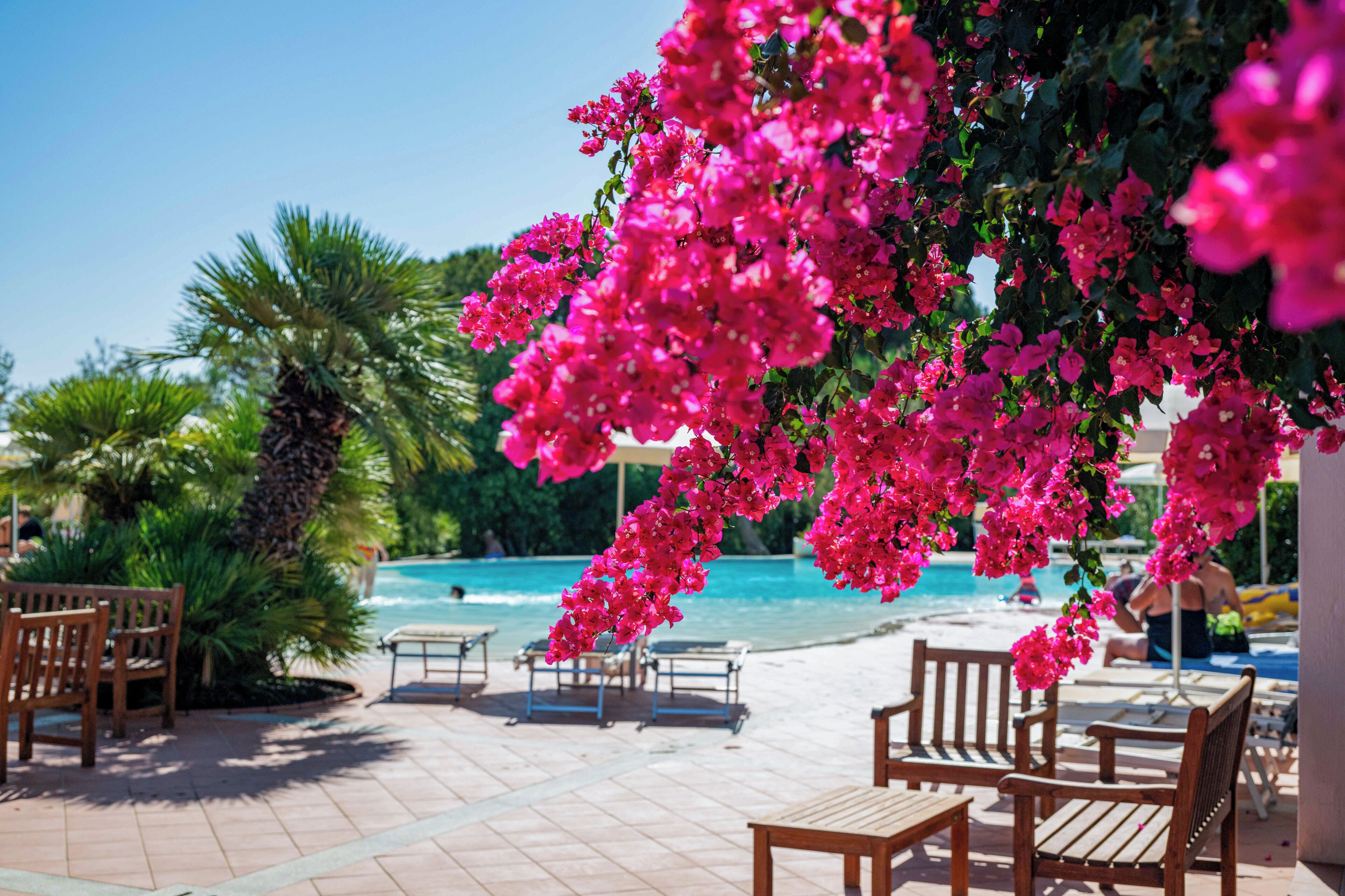A poolside area with lounge chairs and a view of the pool and ocean.
