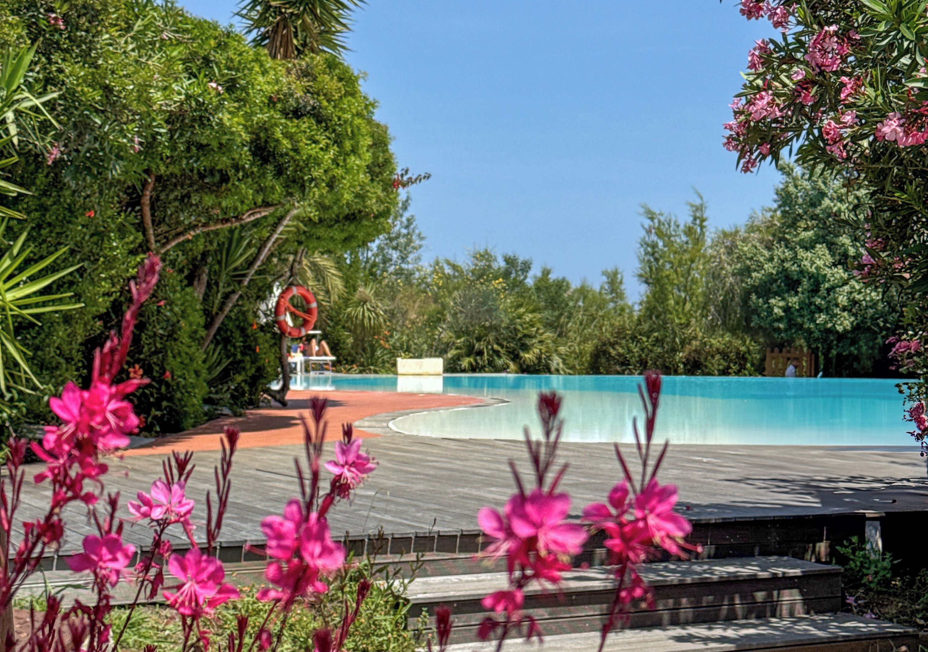 A pool area with a curved edge, surrounded by lush greenery and pink flowers.