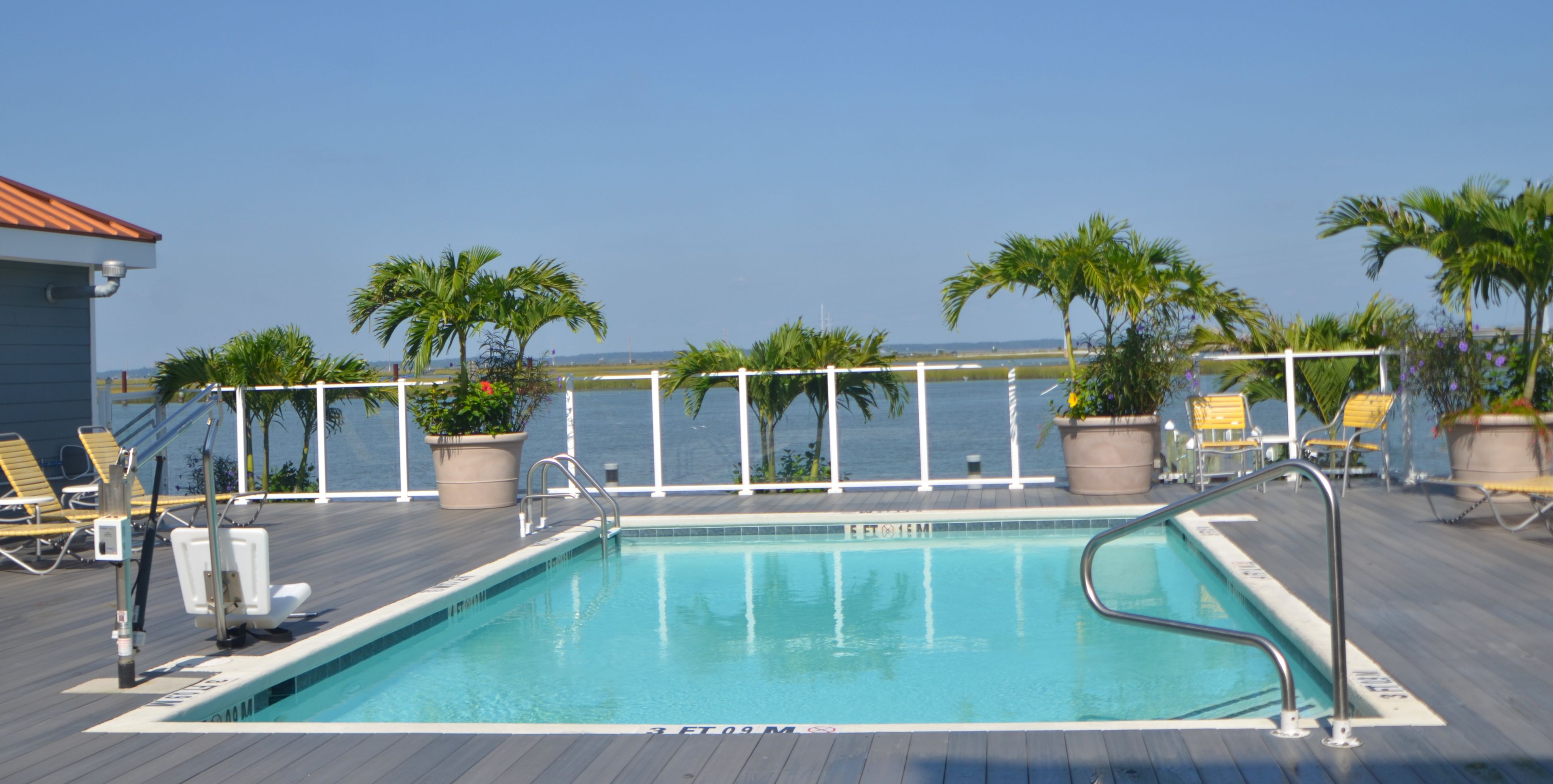 A pool area with a view of the ocean, surrounded by palm trees and lounge chairs.