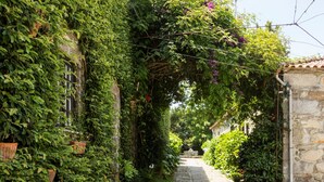 A narrow cobblestone street flanked by lush greenery and stone buildings. - Casa do Ameal (Viana do Castelo)