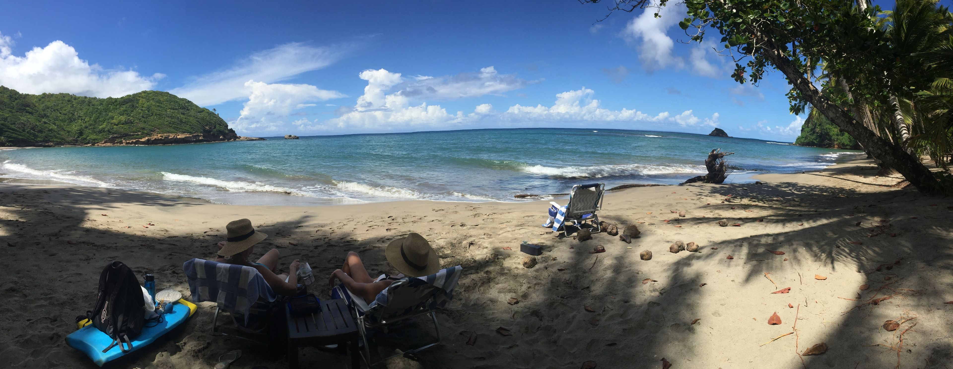 A beach with two people sitting on chairs under a tree, a beach chair, and a surfboard.