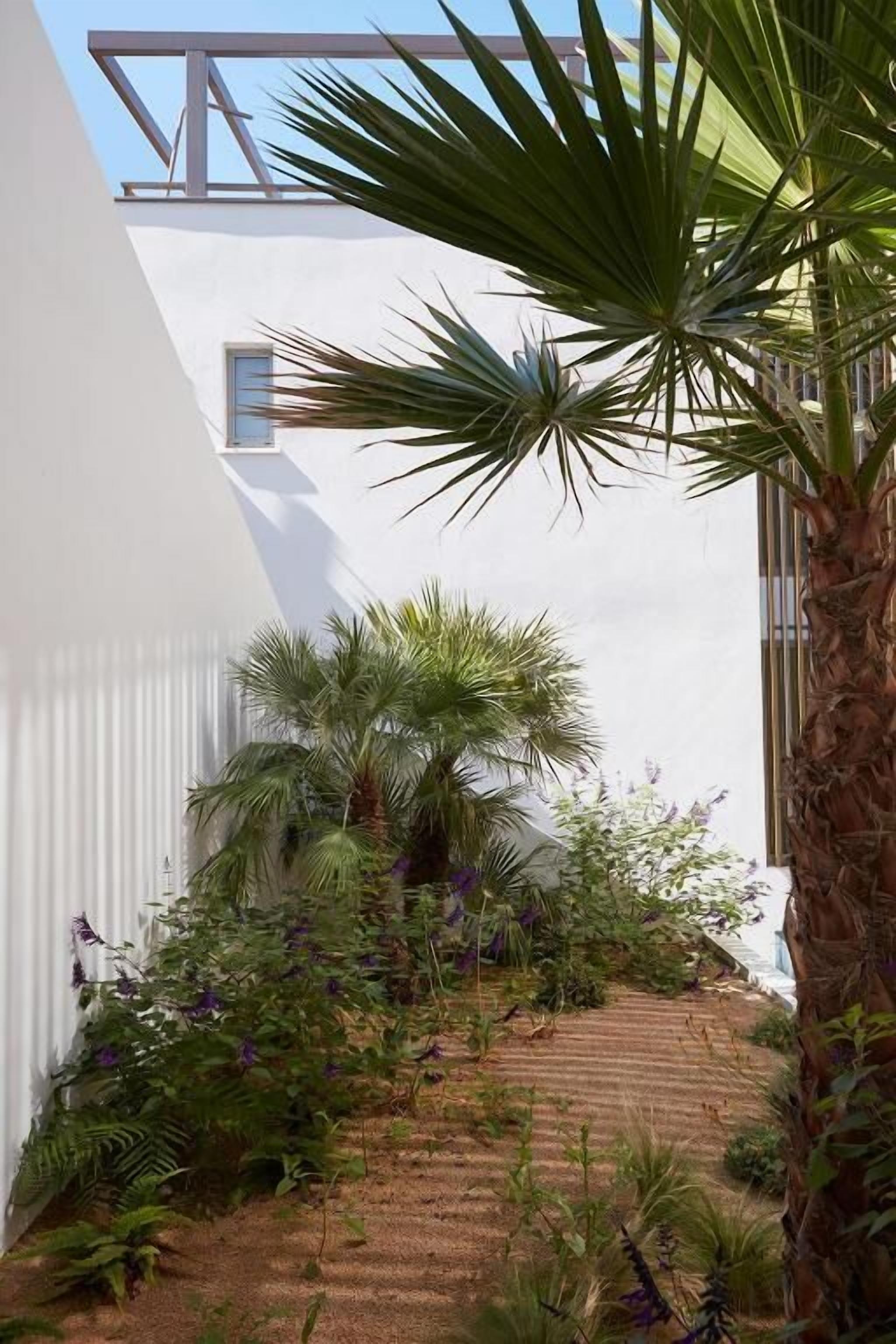A modern building with a white facade, a palm tree, and various plants.