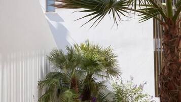 A modern building with a white facade, a palm tree, and various plants.