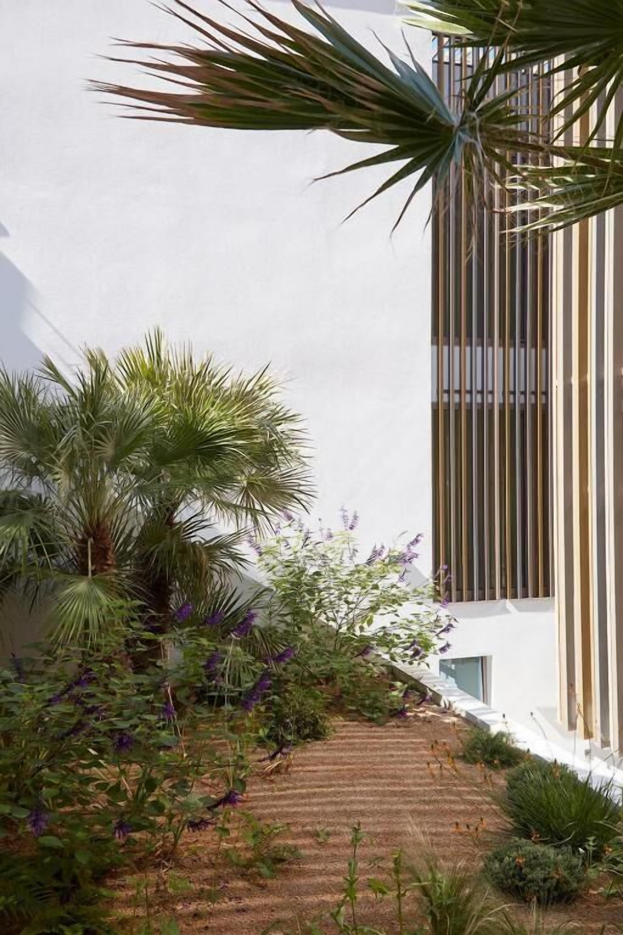 Un edificio moderno con fachada blanca, ventana de listones de madera y jardín con plantas variadas y un camino de grava.