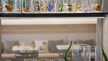 A display of clear glass containers with various decorative items inside, arranged on shelves.