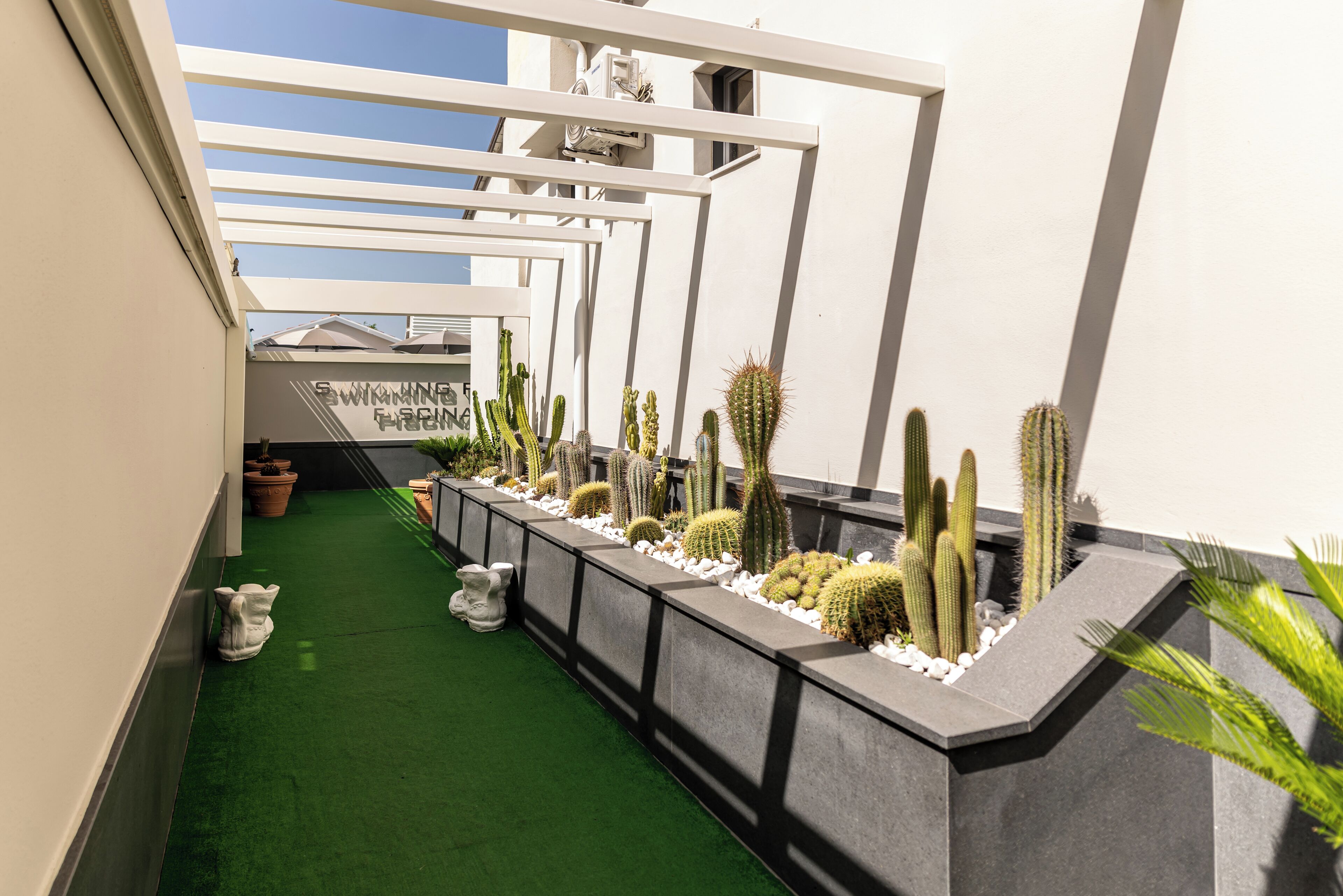 A narrow corridor with a green artificial turf floor, white walls, and a row of cacti in a planter.
