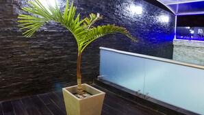 A potted palm plant in a square planter on a dark wooden floor, with a stone wall and a blue-lit reception area in the background. - Sunec Hotel (Chiclayo)