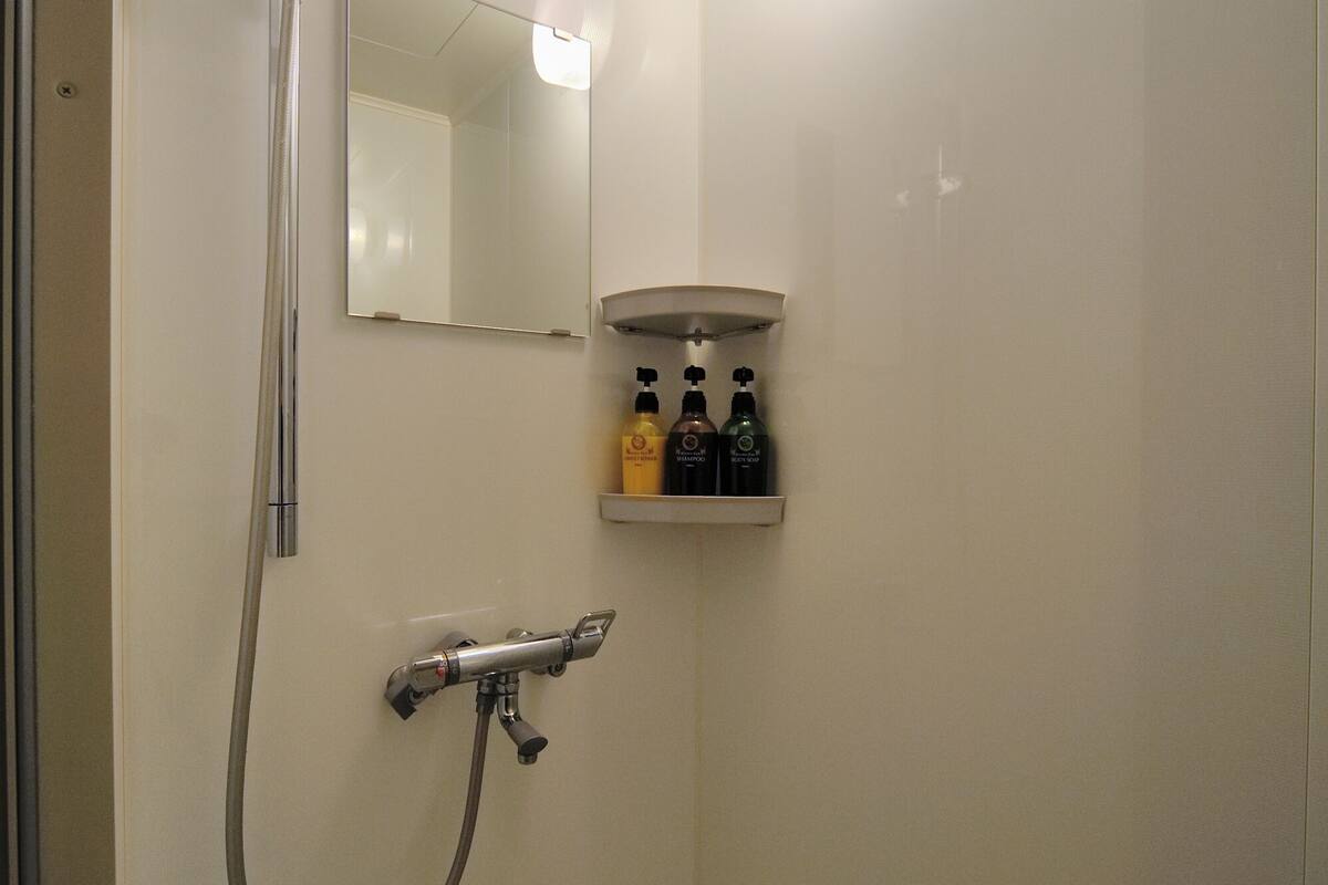 free toiletries, hair dryer, slippers, bidet