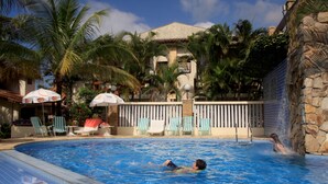 Piscina con sillas de descanso y sombrillas, rodeada de palmeras y un muro de piedra.