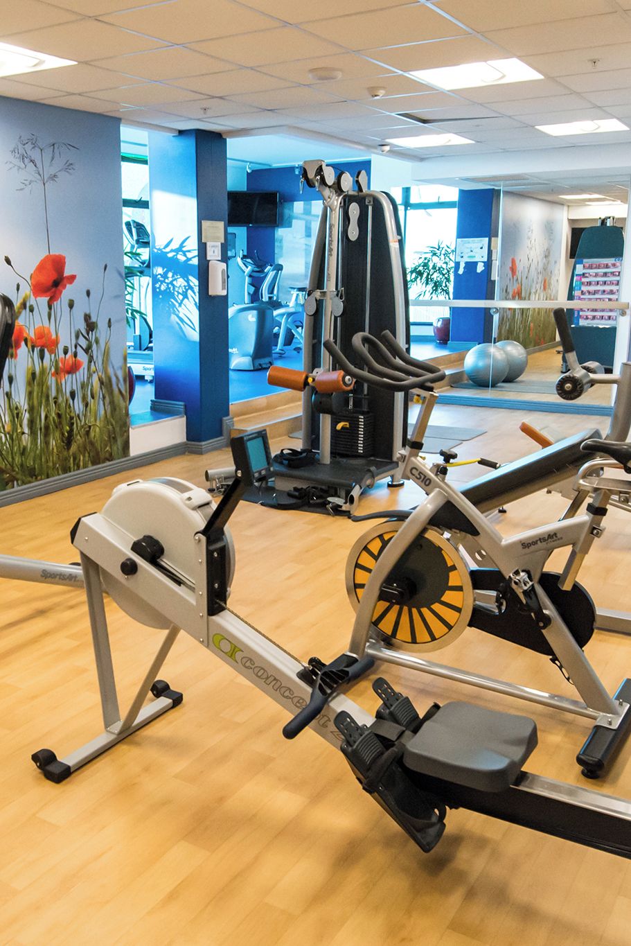 Academia com equipamentos de cardio, máquinas de peso e bolas de exercício.