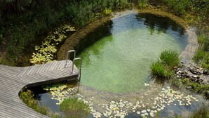 A circular pond with lily pads and a wooden deck with a metal railing.