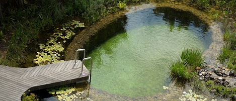 Una piscina al aire libre, sombrillas, sillones reclinables de piscina
