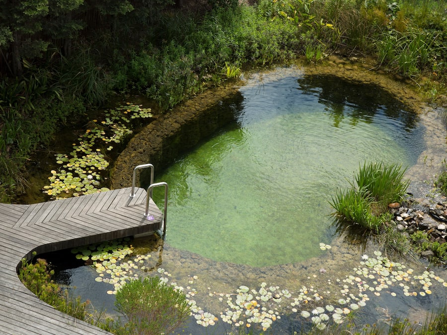 Outdoor pool, pool umbrellas, pool loungers