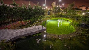 A nighttime garden with a pond, wooden bridge, and surrounding greenery.