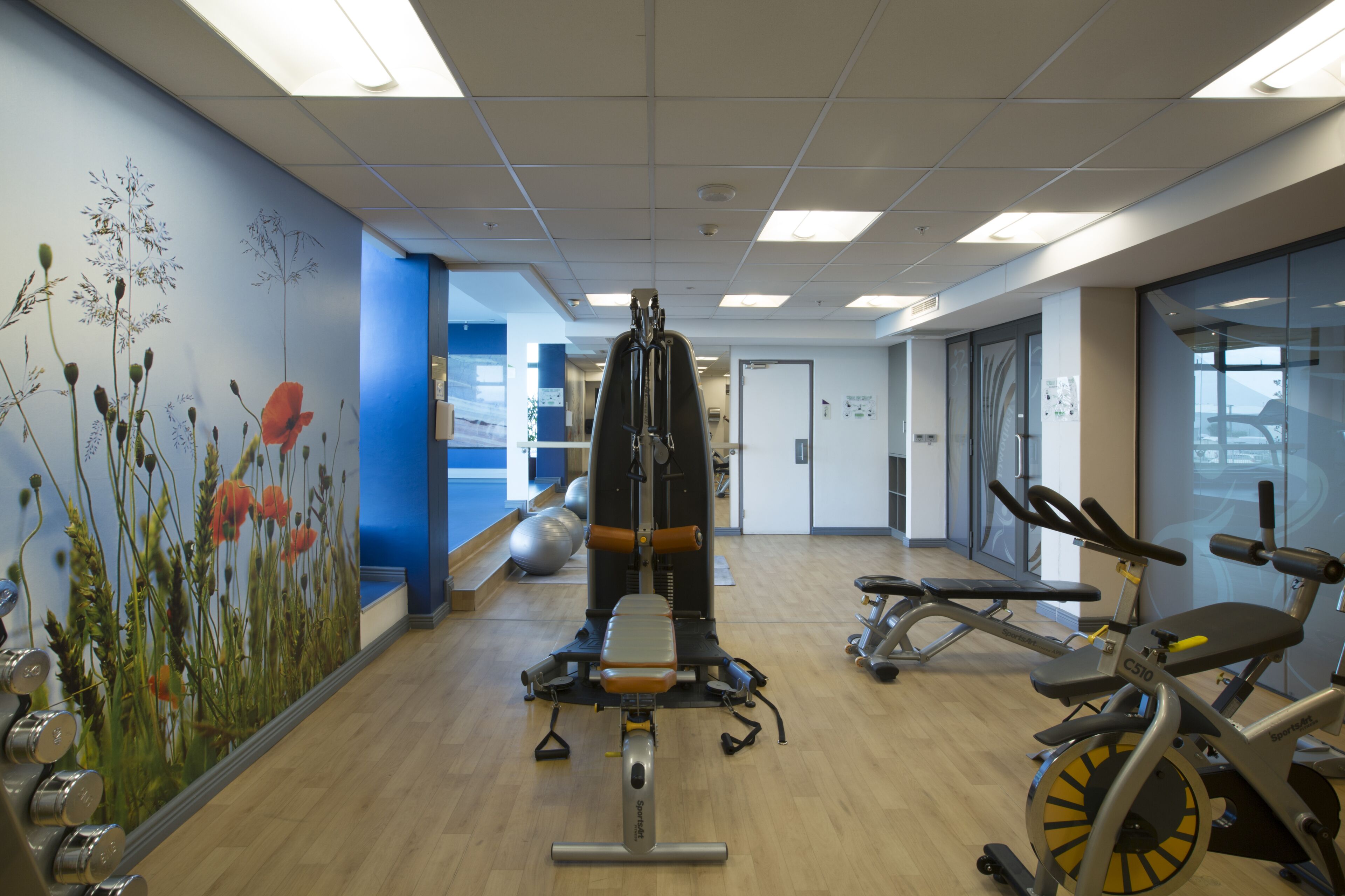 Un gimnasio con equipamiento de ejercicio, un mural en la pared y suelo de madera.