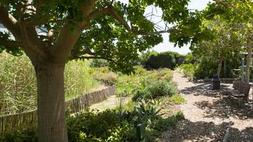 Un jardín con un árbol grande, una valla de madera y diversas plantas.