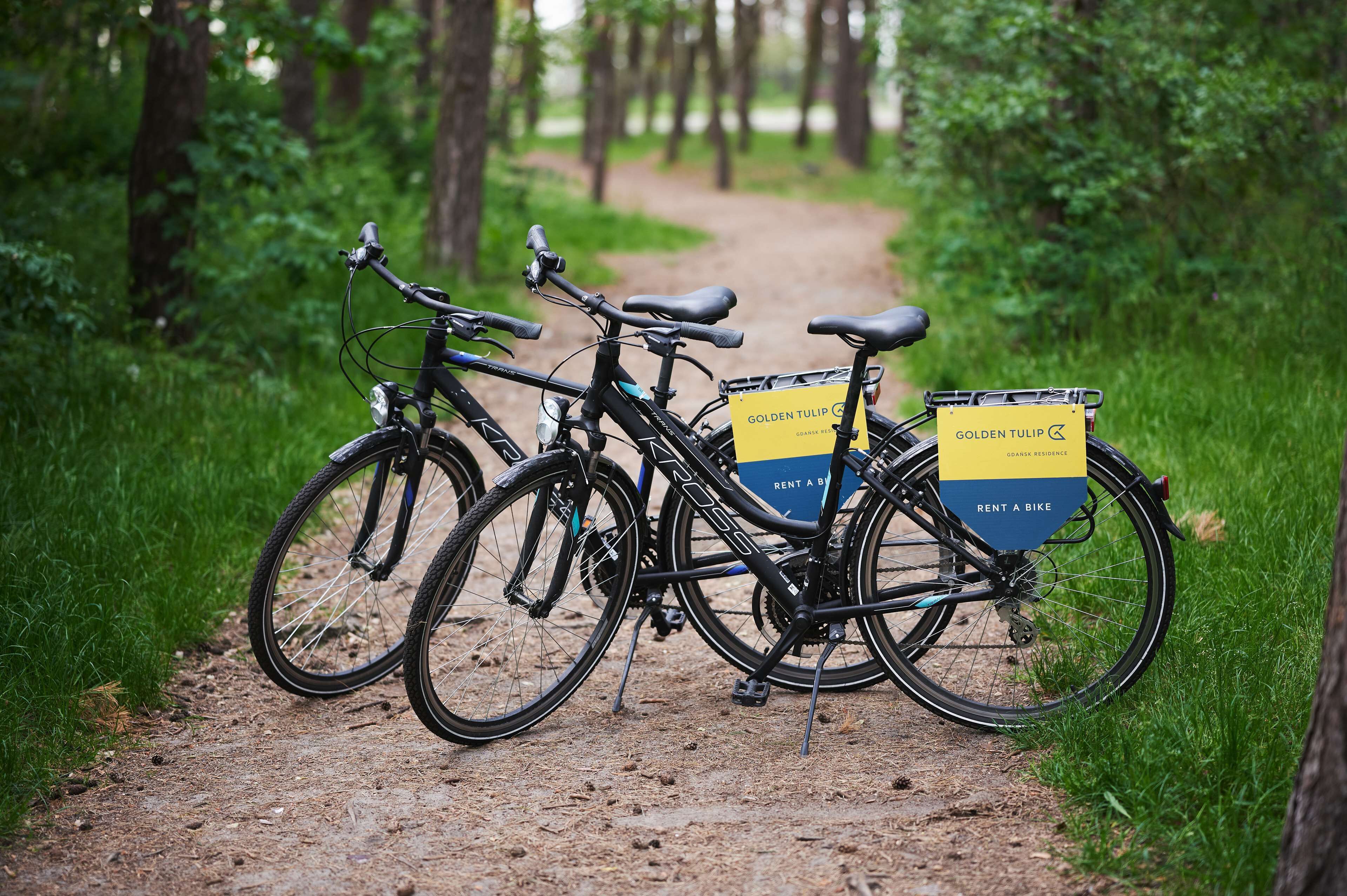Two bicycles parked on a dirt path in a forested area with yellow rental signs.
