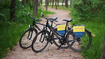 Two bicycles parked on a dirt path in a forested area with yellow rental signs.