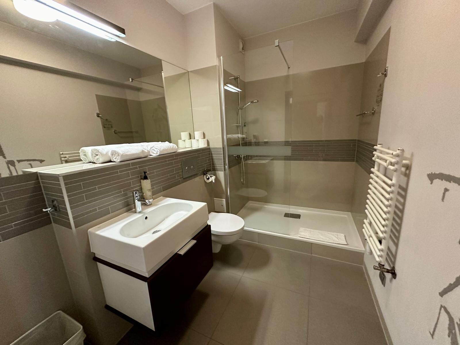 A modern bathroom with a glass-enclosed shower, a white sink, and a toilet.