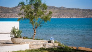 A coastal scene with a tree, a potted plant, and a small birdcage by the water. - Hermes Beach Front (Chania)