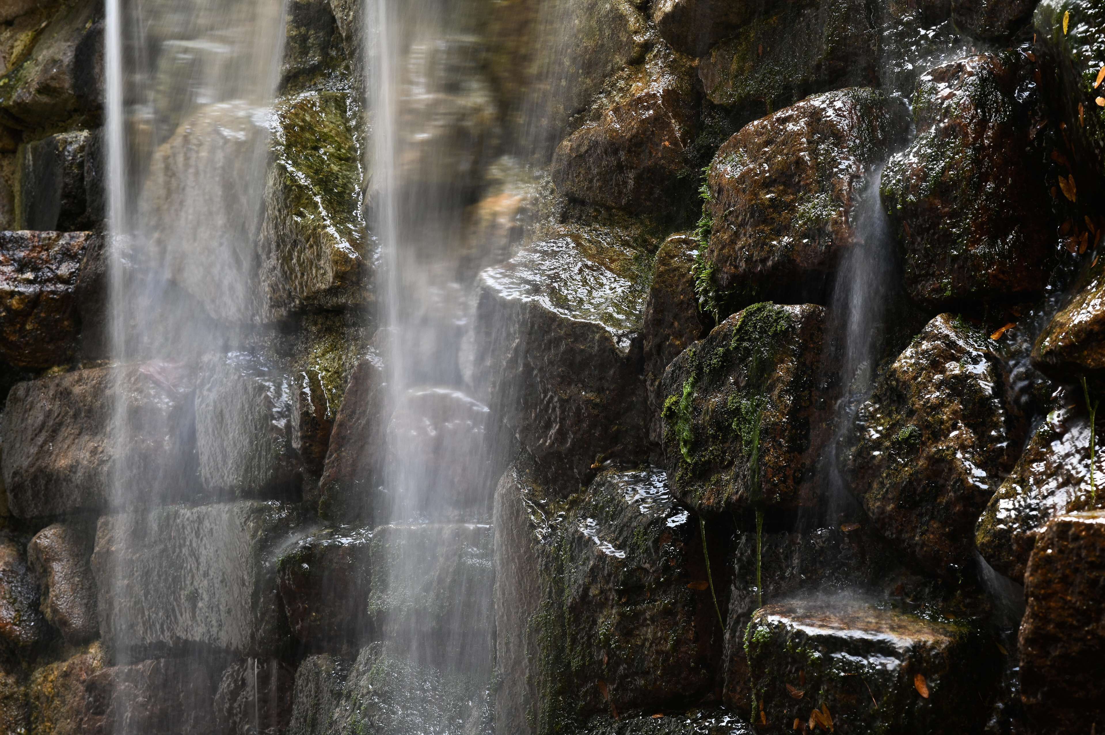 Una cascada fluye sobre rocas cubiertas de musgo.