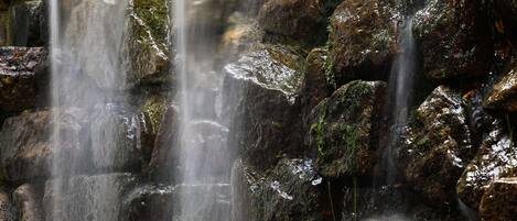 Una cascada fluye sobre rocas cubiertas de musgo.