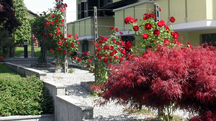 Albergo Residence Isotta