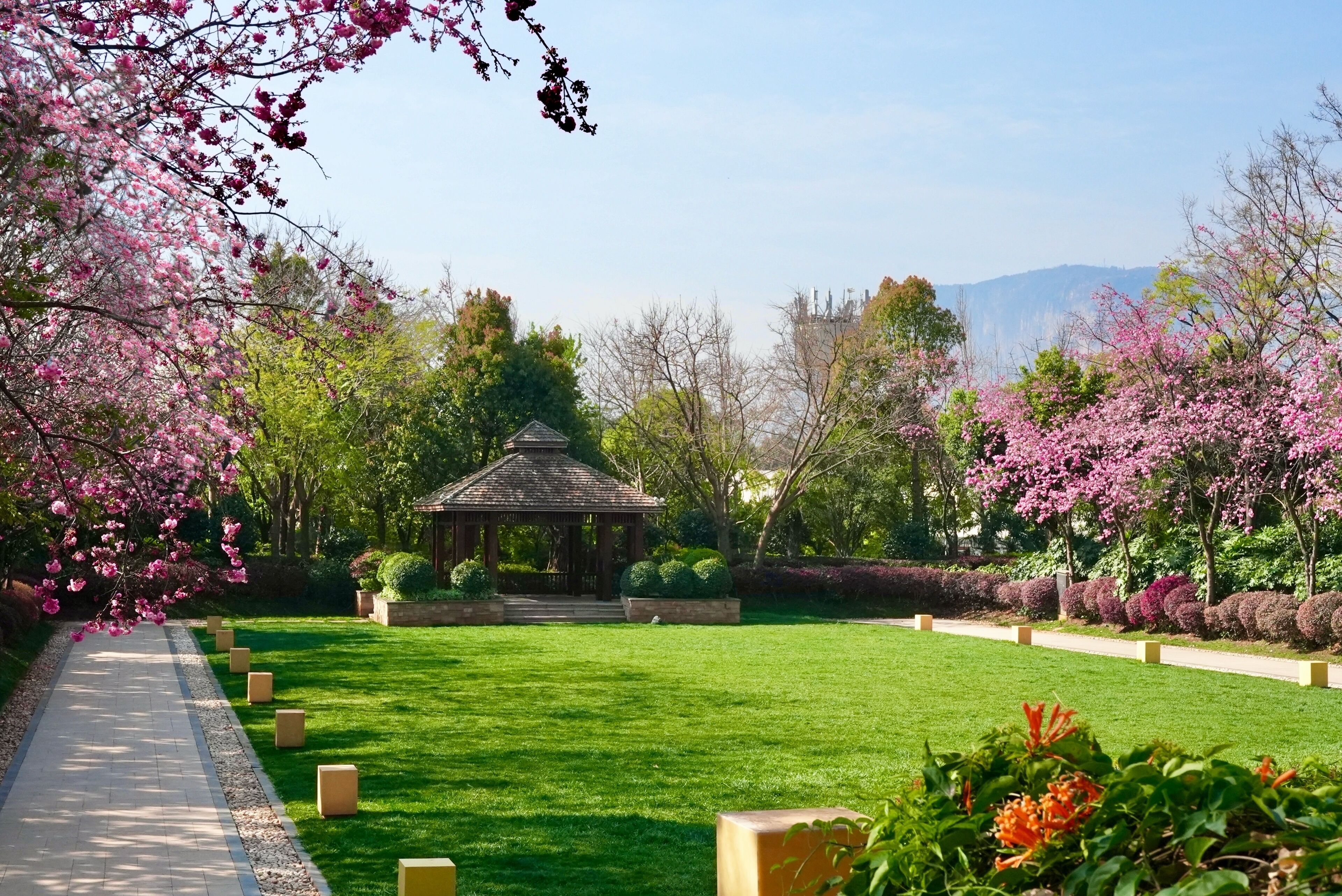 Un jardín con un pabellón, césped verde y árboles en flor.