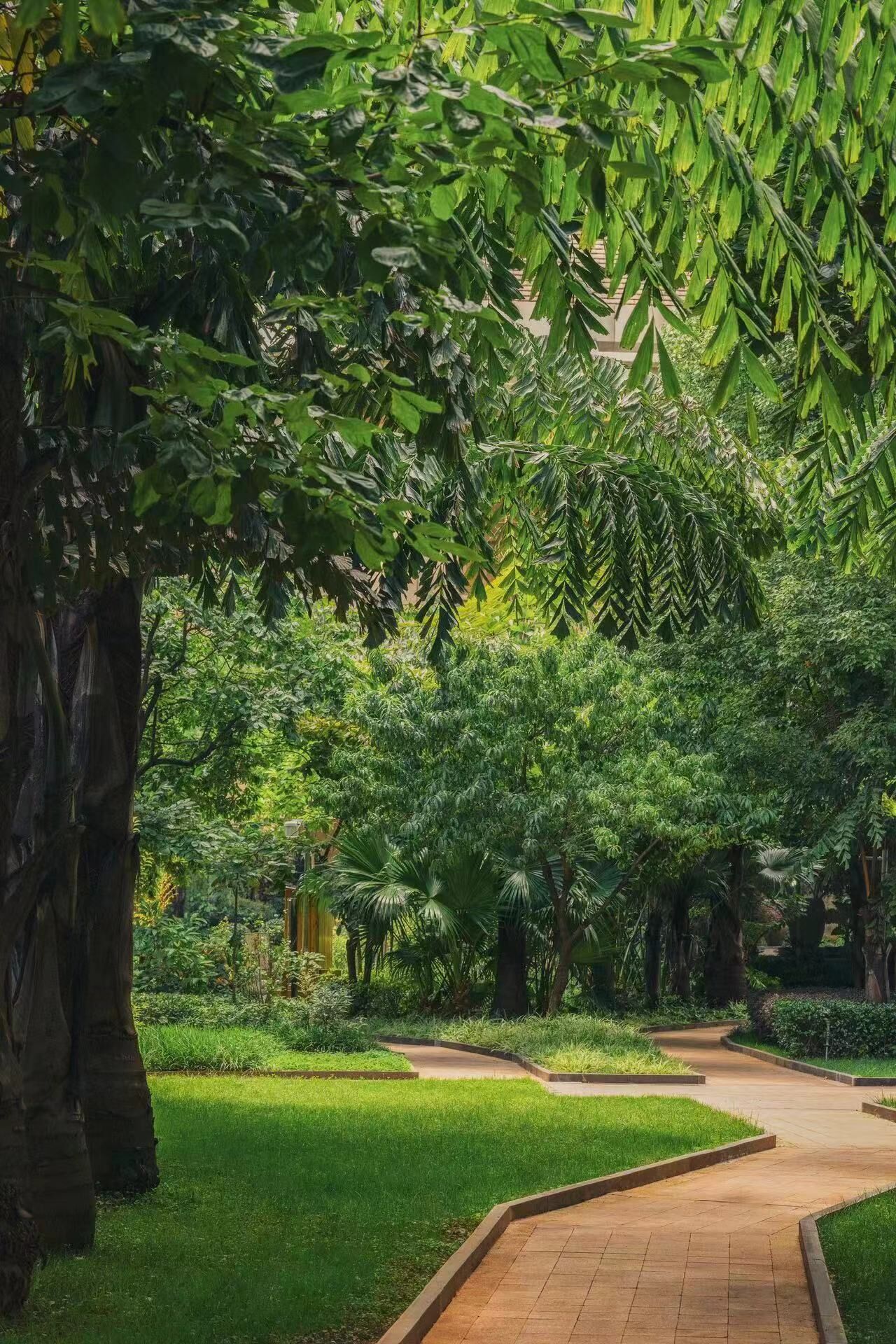 الفناء
