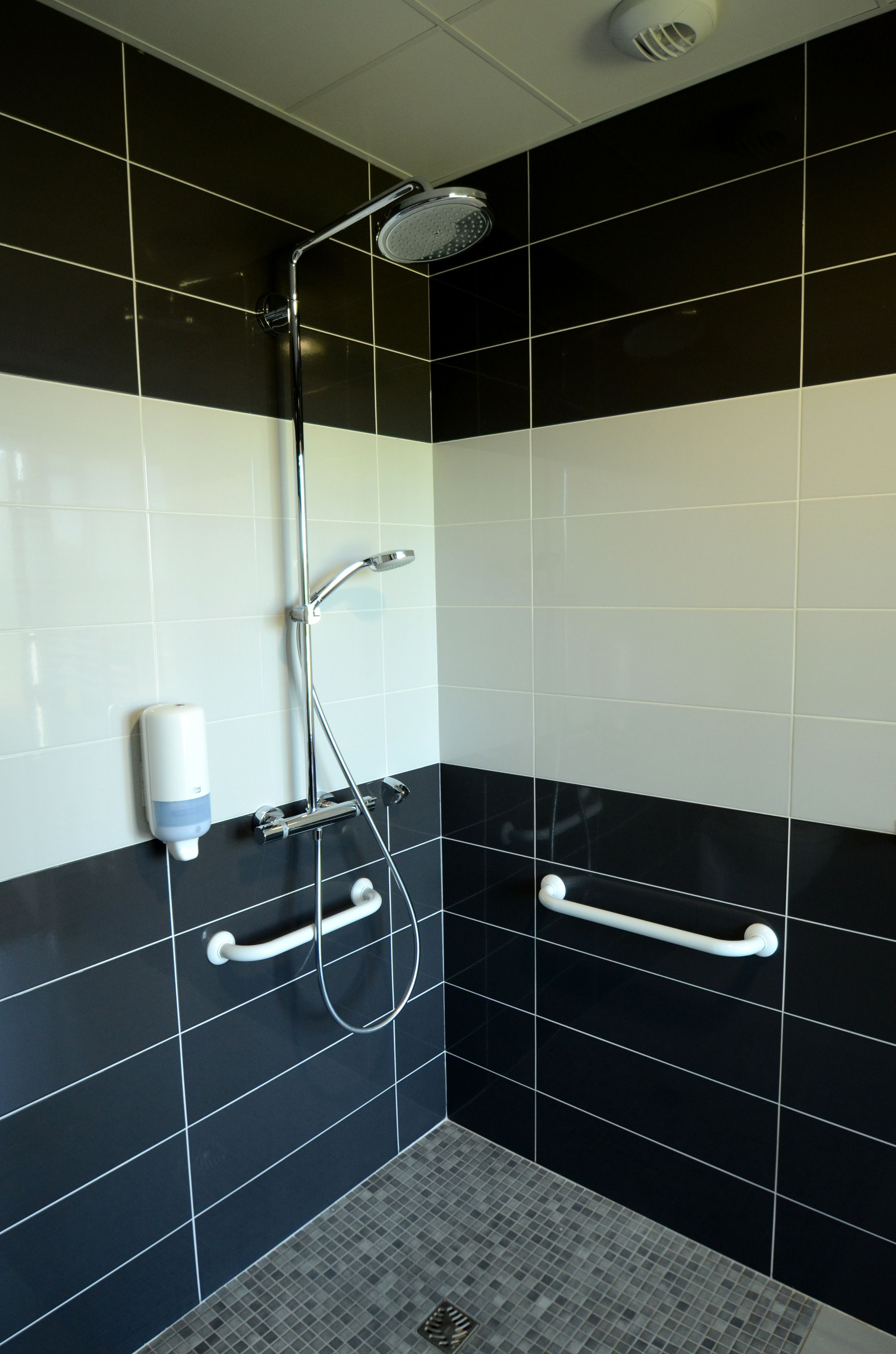 suite avec sauna | bathroom | shower, hair dryer, towels, soap