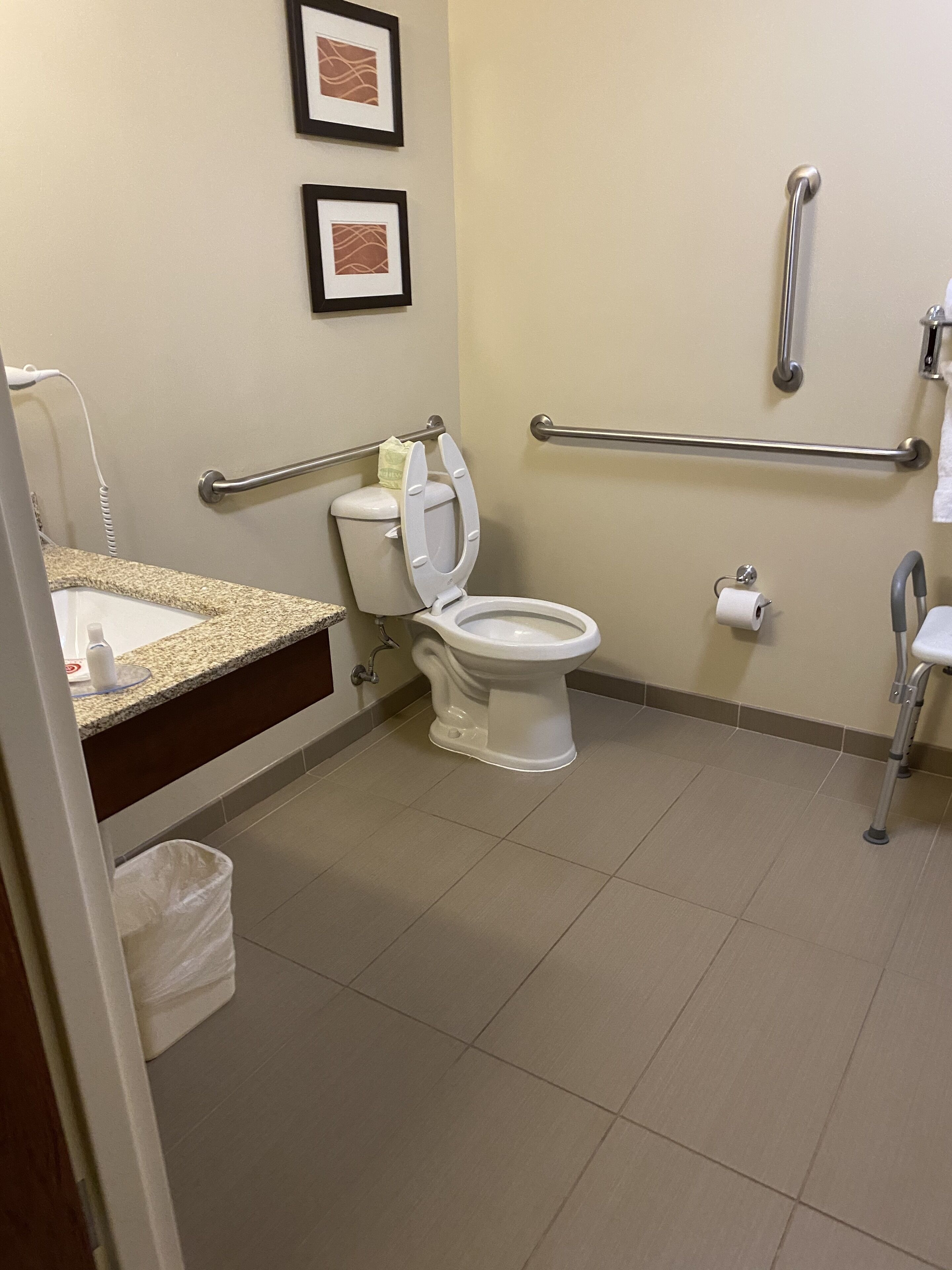 A bathroom with a toilet, grab bars, a sink, and a trash bin.