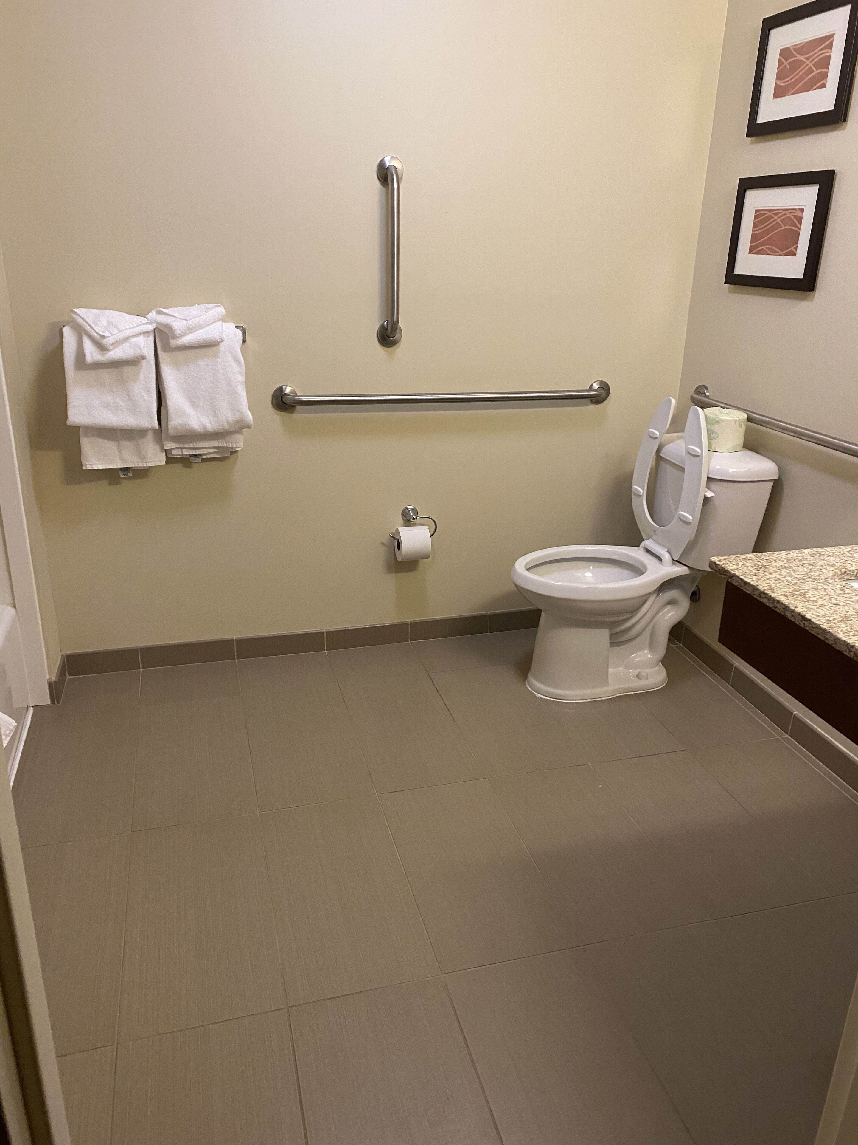 A bathroom with a toilet, grab bars, a towel rack, and a toilet paper dispenser.