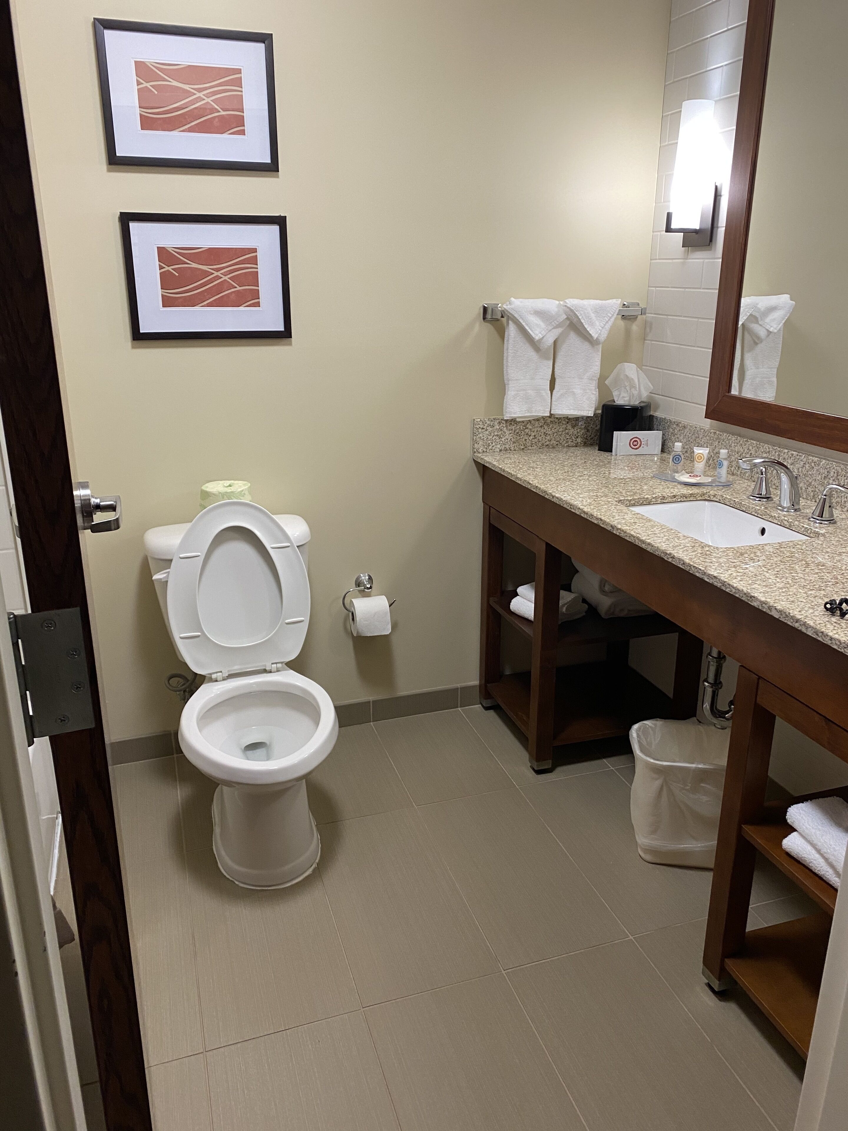Une salle de bain avec des toilettes, un lavabo et un miroir. Des serviettes sont accrochées au mur et il y a une poubelle.