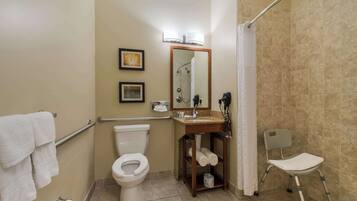 A bathroom with a toilet, sink, shower, and a wheelchair-accessible chair.