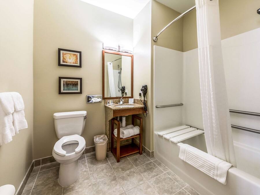 Baño con inodoro, lavamanos, espejo y zona de ducha.