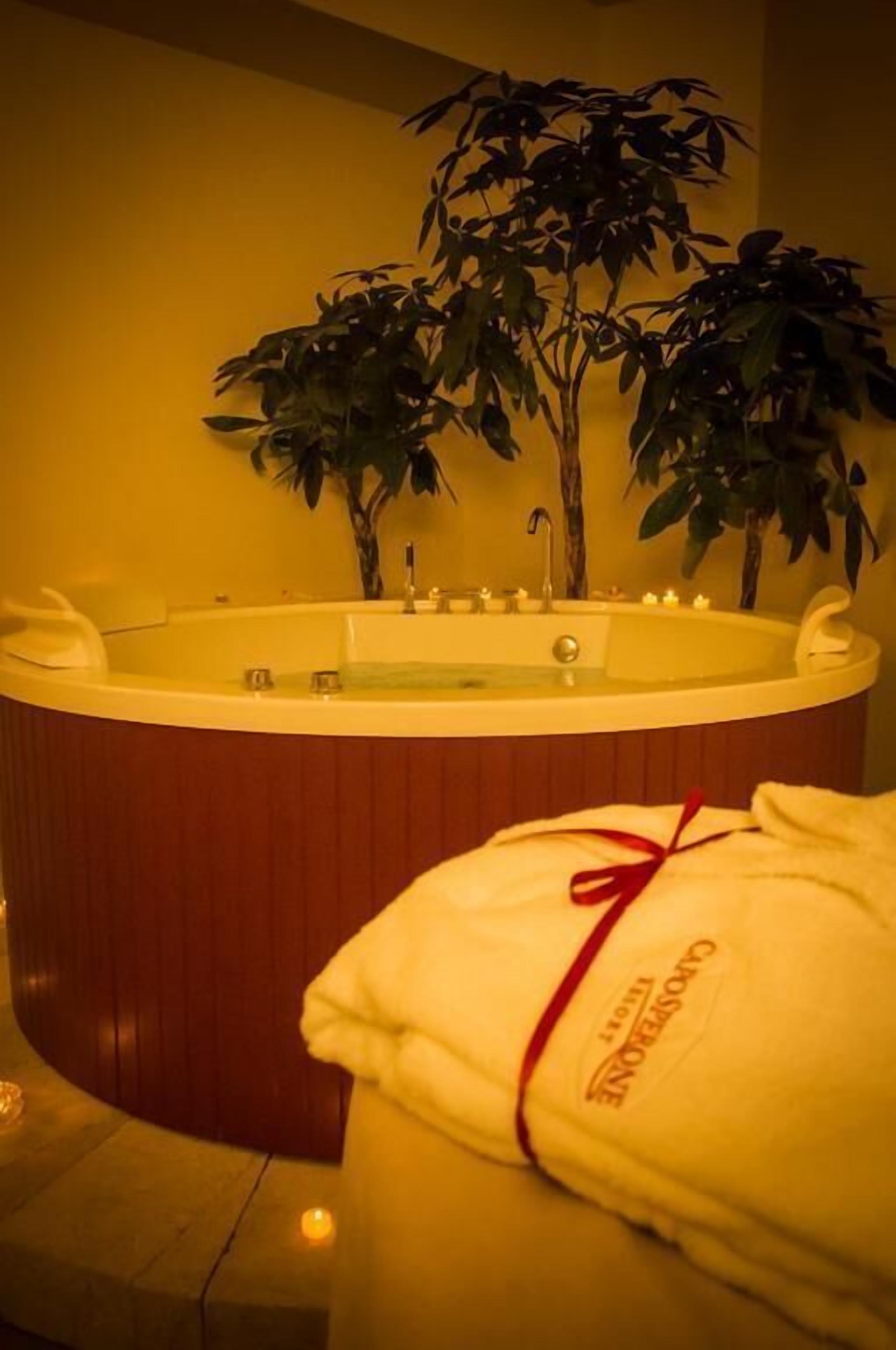 サウナ、ホットタブ、スチームサウナ、トルコ風呂 / ハマム、ボディ トリートメント、ハイドロセラピー