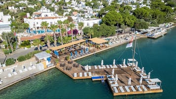 Outdoor pool, pool loungers