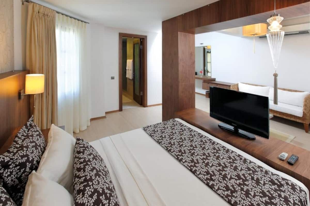 Chambre supérieure double ou avec lits jumeaux, vue sur le jardin | Minibar, coffre-fort, accÚs au Wi-Fi (inclus), literie fournie