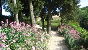 Unclassified image, 2 of 89, button - Podere La Casetta (Montaione)