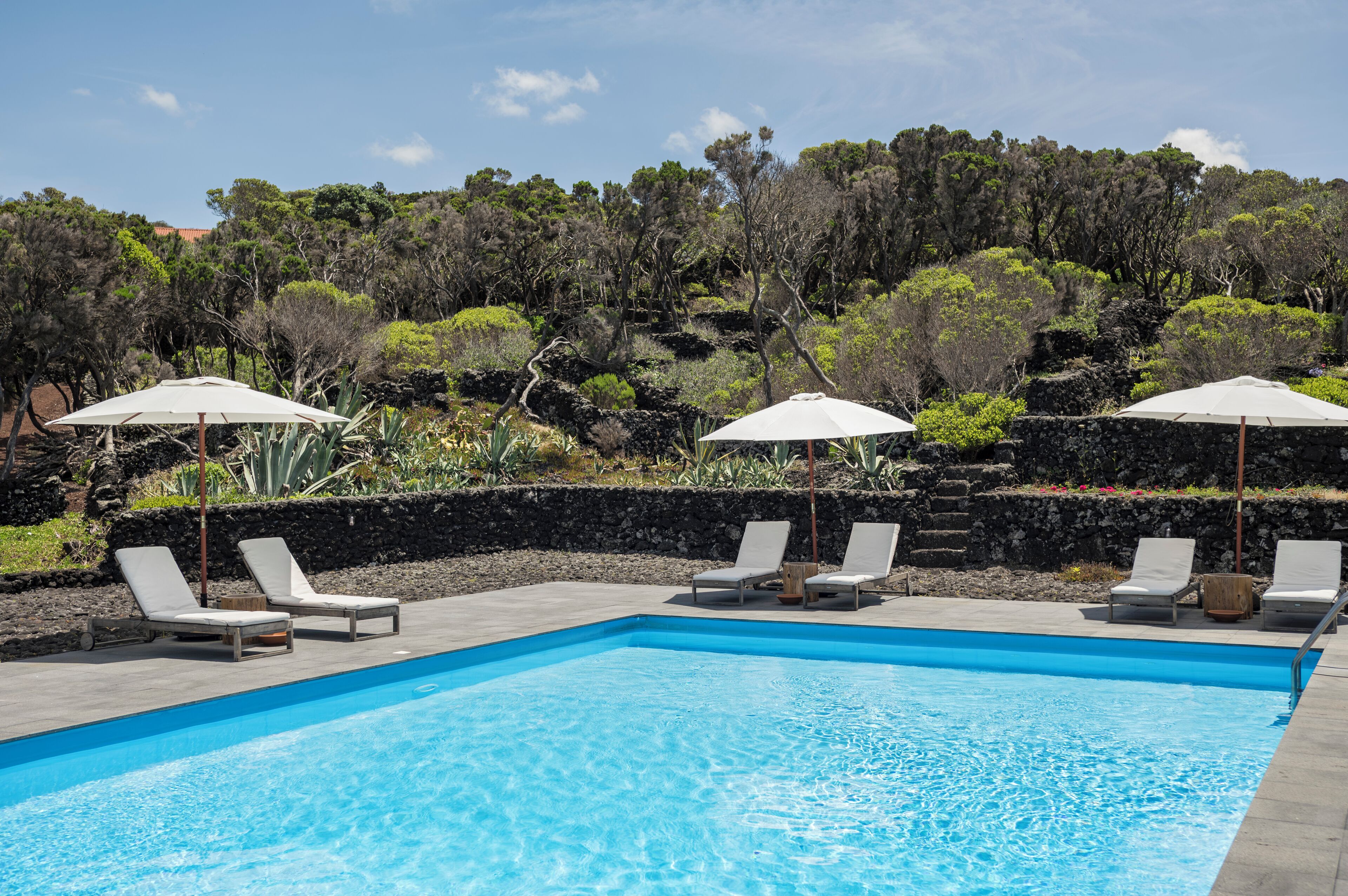 A swimming pool with lounge chairs and umbrellas, surrounded by a landscaped garden and a rocky hillside.