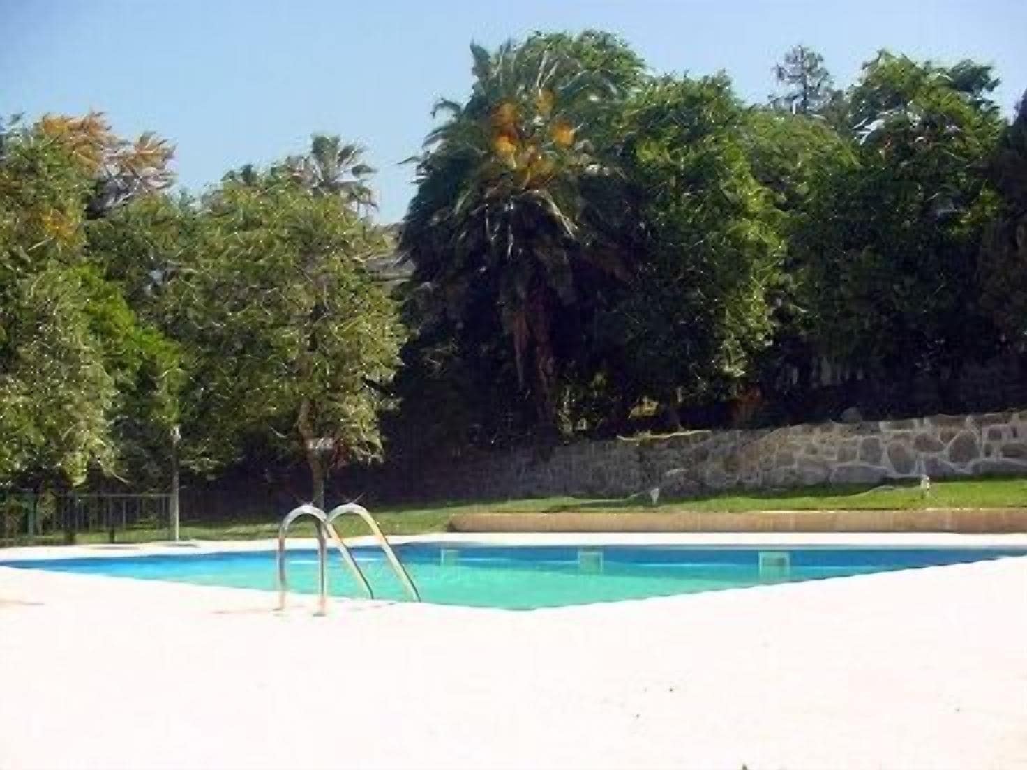 Una piscina con un muro de piedra y palmeras al fondo.