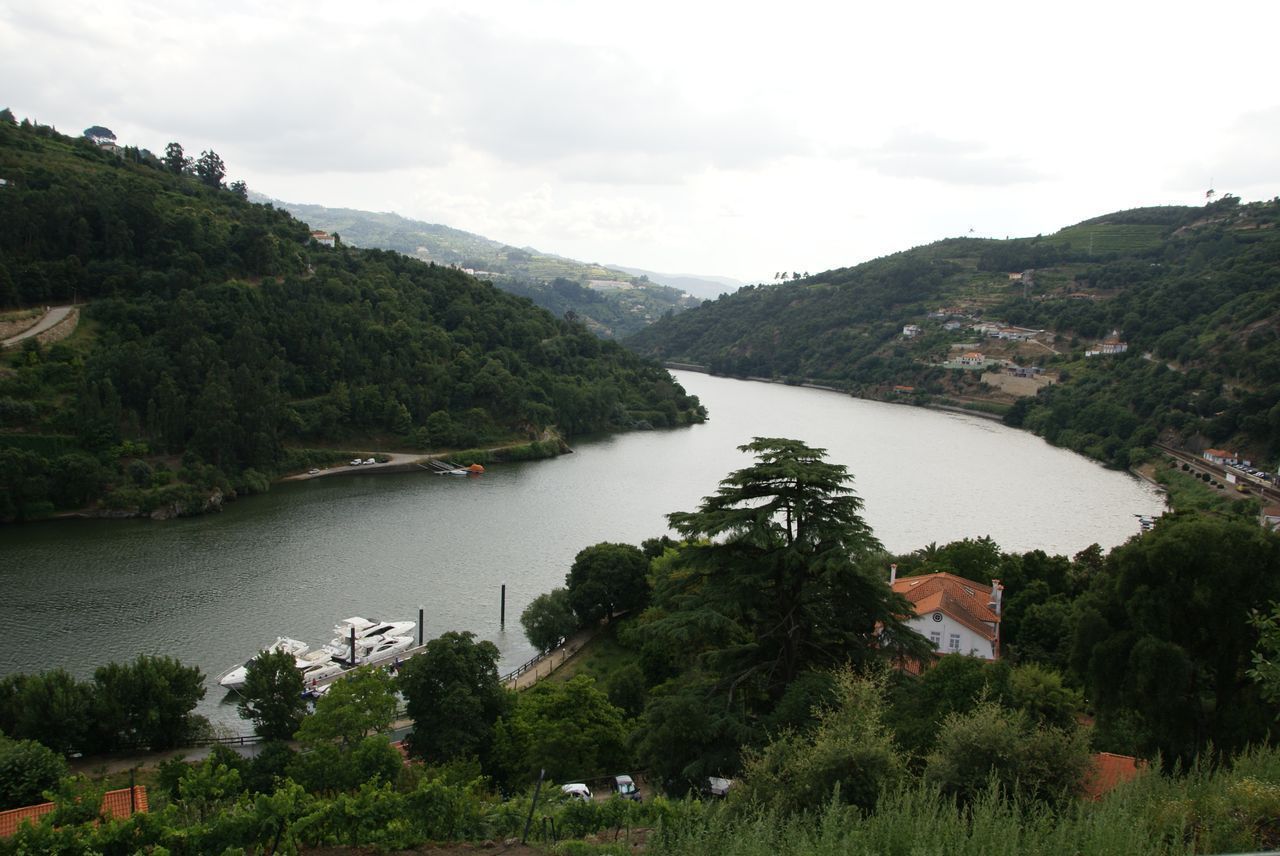 Pemandangan dari hartanah