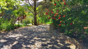 Jardin