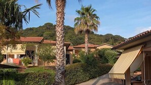 A residential area with houses, palm trees, and a paved walkway.
