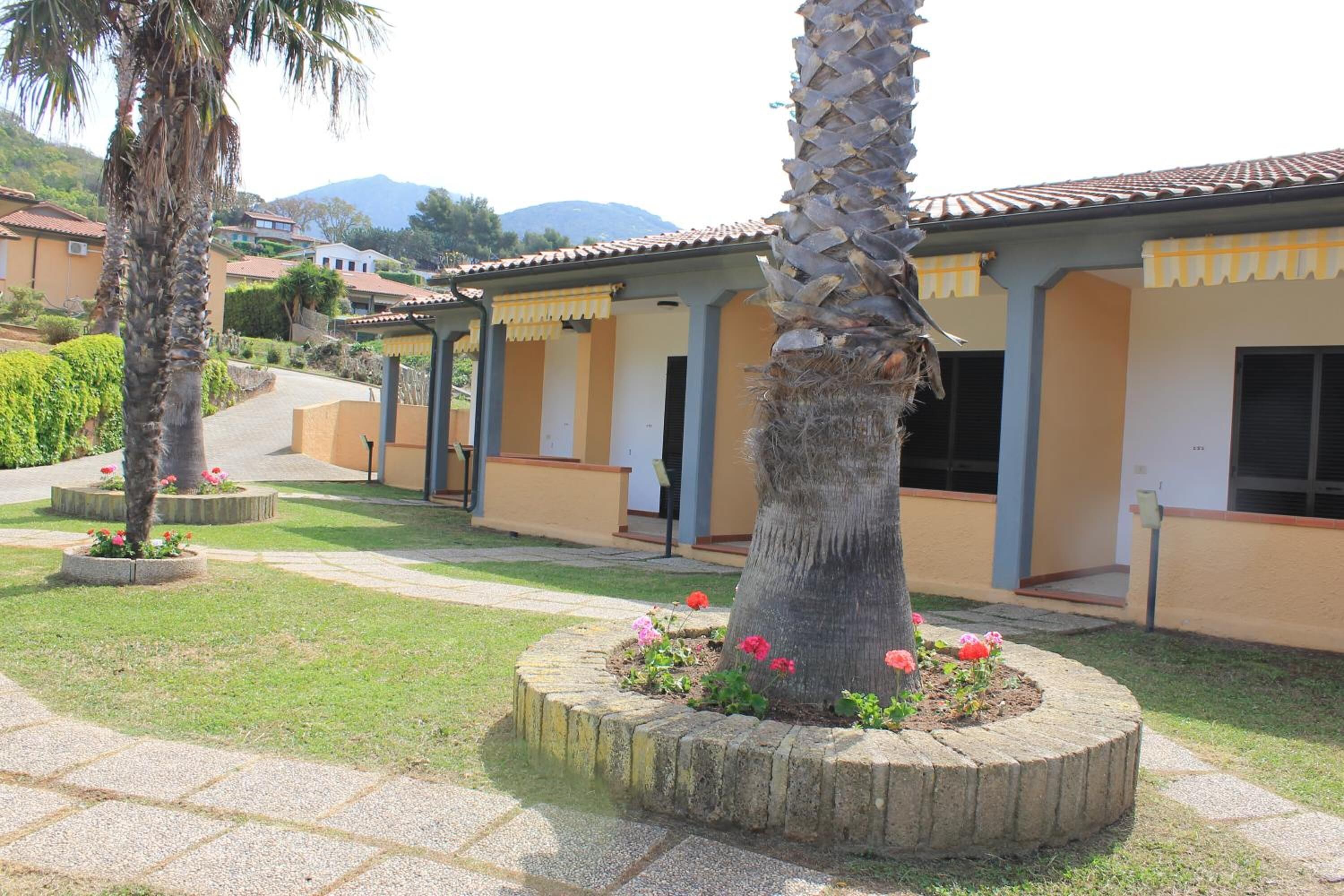 A courtyard with palm trees and flower beds, surrounded by buildings with tiled roofs and yellow walls.